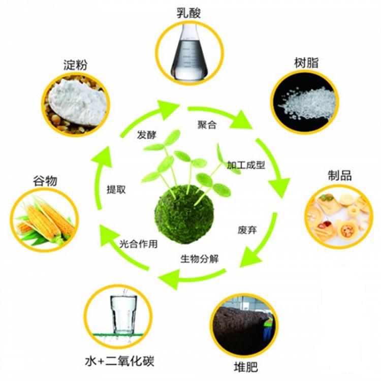 生物食品与主流包材 2024可持续食品包装报告解读