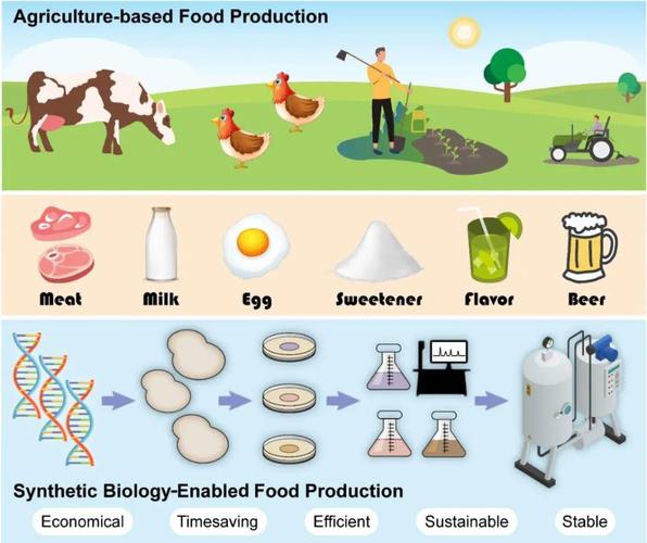 食品合成生物学 研究进展与未来方向——面向生物食品的机遇与挑战