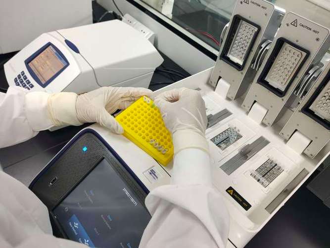 生产菌株DNA检测 助力食品行业遗传修饰微生物产品安全评价